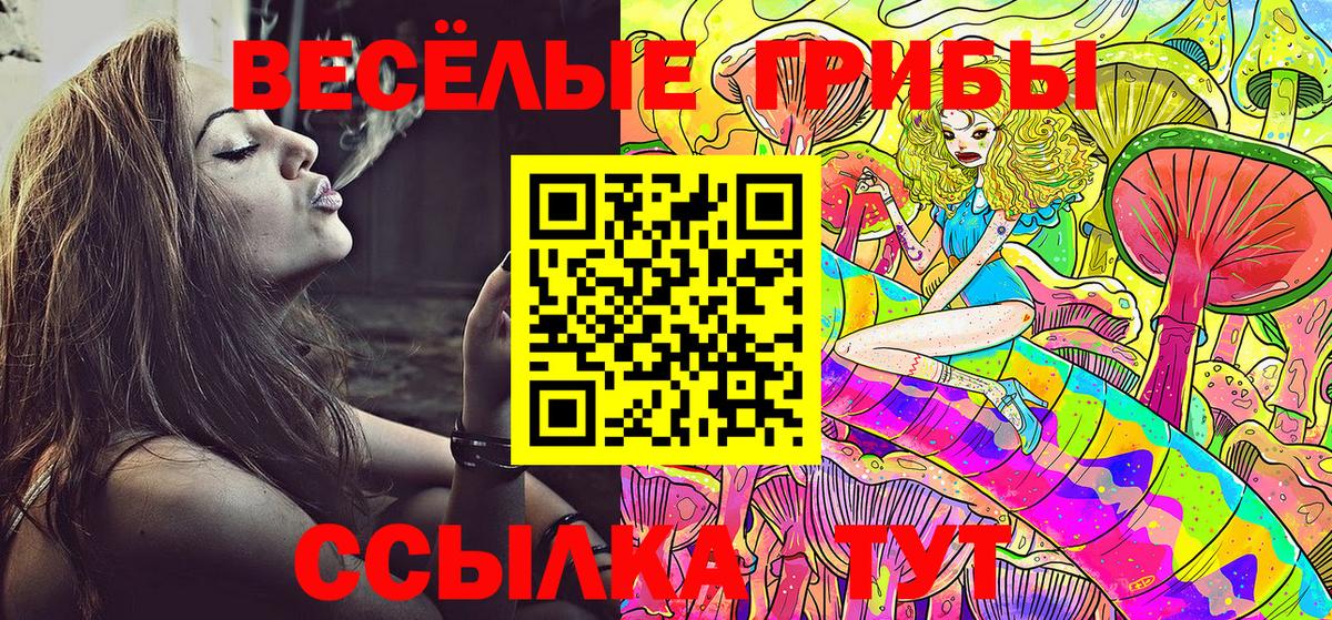 Псилоцибиновые грибы Magic Shrooms  Вход с VPN  Будённовск  Псилоцибиновые грибы ЛСД 